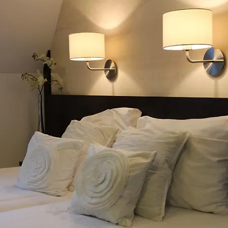 Parkhotel Vincent فندق