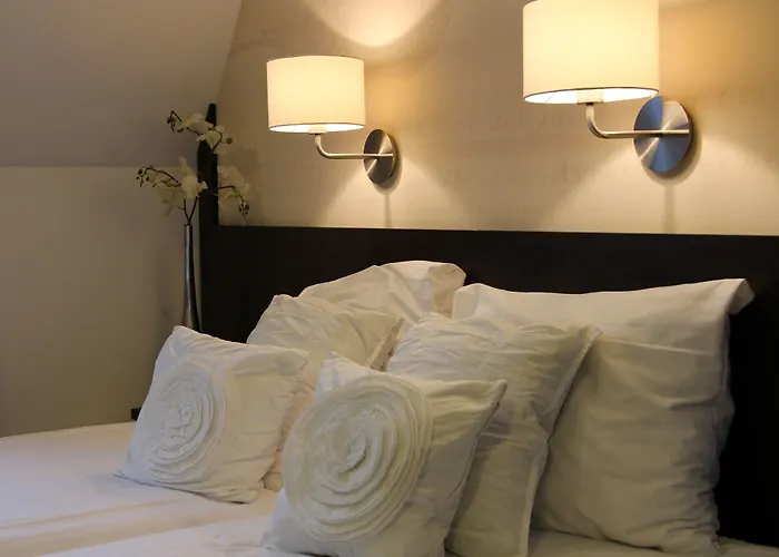 Parkhotel Vincent 3* Nuenen