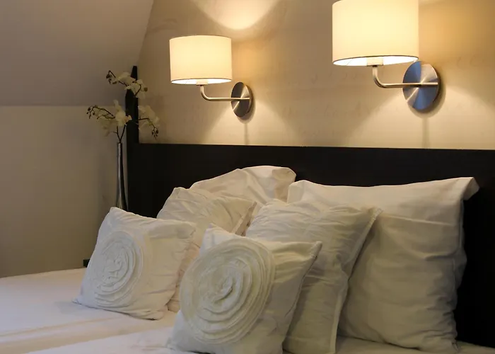 Parkhotel Vincent فندق